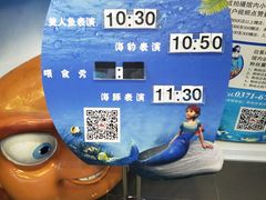 -锦艺城海洋馆