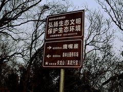-老山国家森林公园