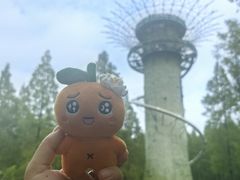 -黄海国家森林公园