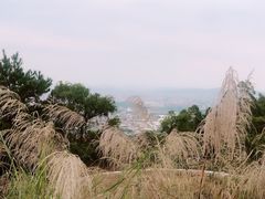 -草庵摩尼教遗址公园