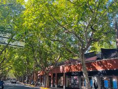 -弗兰克牛排西餐厅Ribone steak house(柠檬花园店)