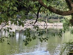 -台州府城(东湖)