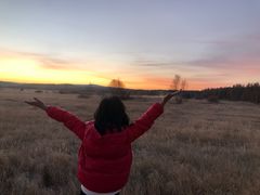 -塞罕坝国家级自然保护区