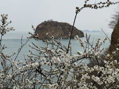 景点-棒棰岛宾馆景区