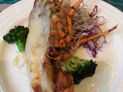 -瑞德姆美人鱼海底演艺主题餐厅(亚龙湾店)