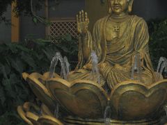 -泰山花样年华景区