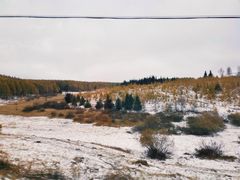 -塞罕坝国家级自然保护区