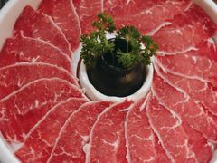 -洪氏嗨捞·猪肚鸡火锅(阳光天地店)