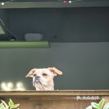 家附近的宝藏咖啡店