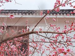 -紫阳古街
