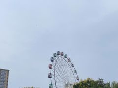 -塔子山公园