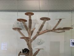 -宁波九龙湖开元度假村