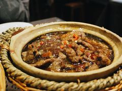 -熠盛粤味·顺德桑拿鸡(永康路店)