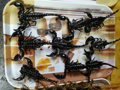 android_upload_pic-江宁会馆(劈柴院店)