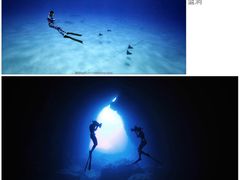 -苏州海洋馆