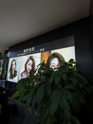 -藤野造型·专业烫染店