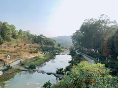 -东莞植物园