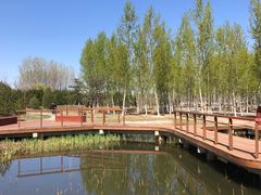 -东郊湿地公园
