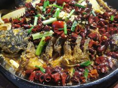 老板恋上鱼-老板恋上鱼(高新万达店)