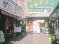 -曲阳花鸟市场(曲阳路店)