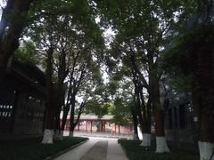 -龙潭水乡