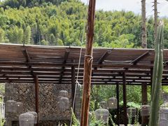 -MOJ coffee(瓯海泽雅水碓坑店)