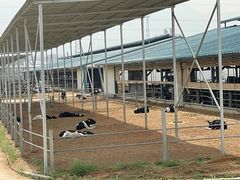 -君乐宝优致牧场