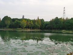 -新洲生态园