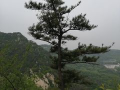 -沂蒙山旅游区云蒙景区(蒙山国家森林公园)