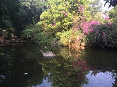 iphone_upload_pic-黄埔古港