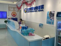 -北京观赏动物医院·24小时大型综合·猫专科·异宠专科