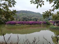 -南国桃园旅游度假区