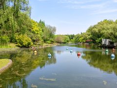 -上海共青森林公园