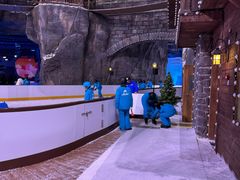 -世界之窗阿尔卑斯冰雪世界