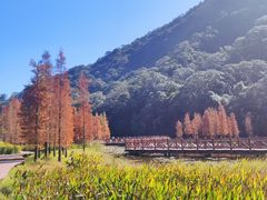 -广州市石门国家森林公园