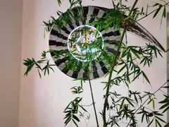 -九献创意菜·牛排馆(亮马河花园店)