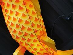 -向川南·水煮鱼·川菜(和平里店)