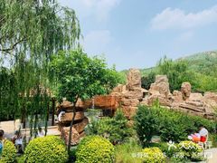 -徂徕山森林康养度假谷温泉