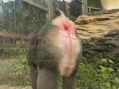 -黔灵山公园