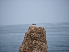 -长岛南北长山旅游景区