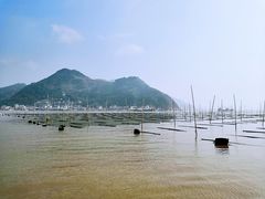 -北岐滩涂
