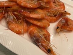 -上海尊茂酒店