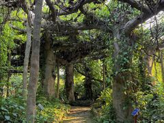 -广西壮族自治区药用植物园