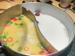 鲜椒猪肚鸡-洪氏嗨捞·广东猪肚鸡·椰子鸡火锅(西咸万象城店)