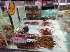 -万龙洲海鲜(大兴绿地缤纷城店)