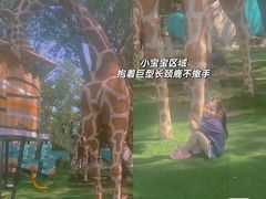 -南戴河国际娱乐中心