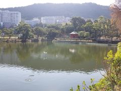 -大埔公路-马料水段香港中文大学(公交站)