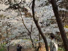 -红螺寺