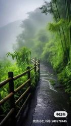 -安吉拉·纤纤玉指美甲美睫创意中心