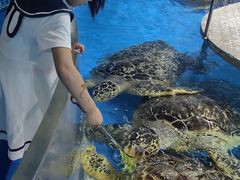 -泉城欧乐堡海洋极地世界